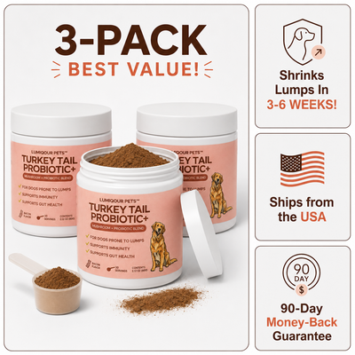 Turkey Tail+ 3 Pack Bundle