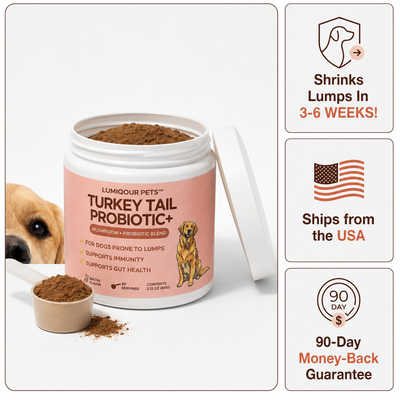 Turkey Tail Probiotic™