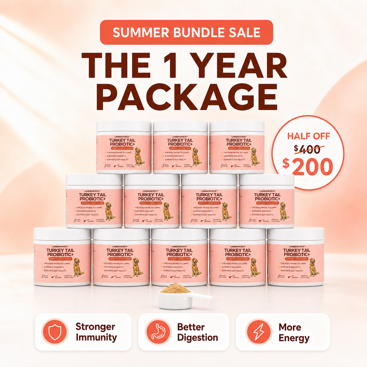 1 Year Package