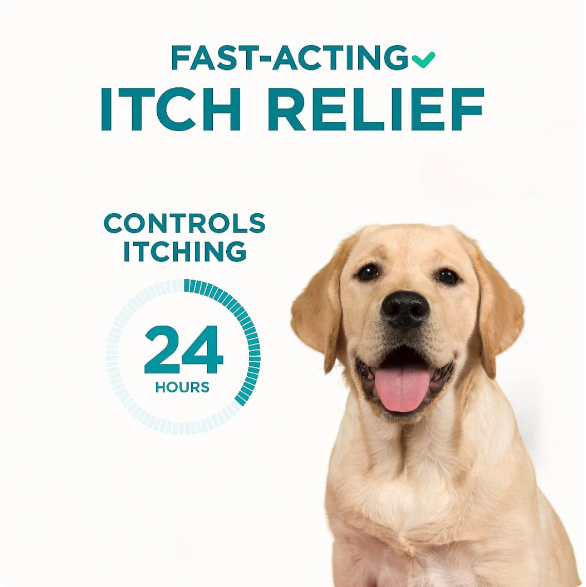 Oclacitinib Chewable Tablet™