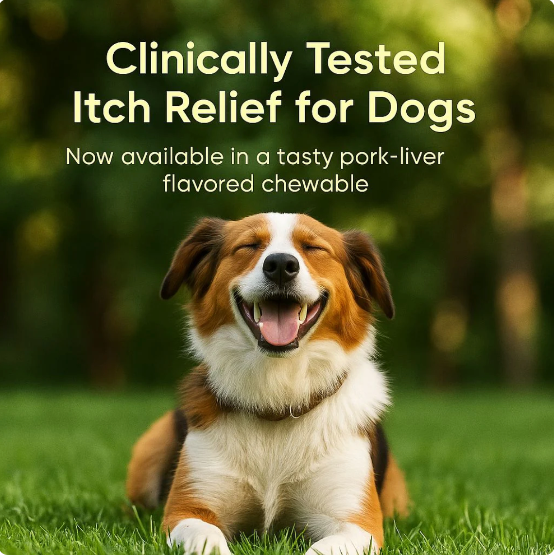 Oclacitinib Chewable Tablet™