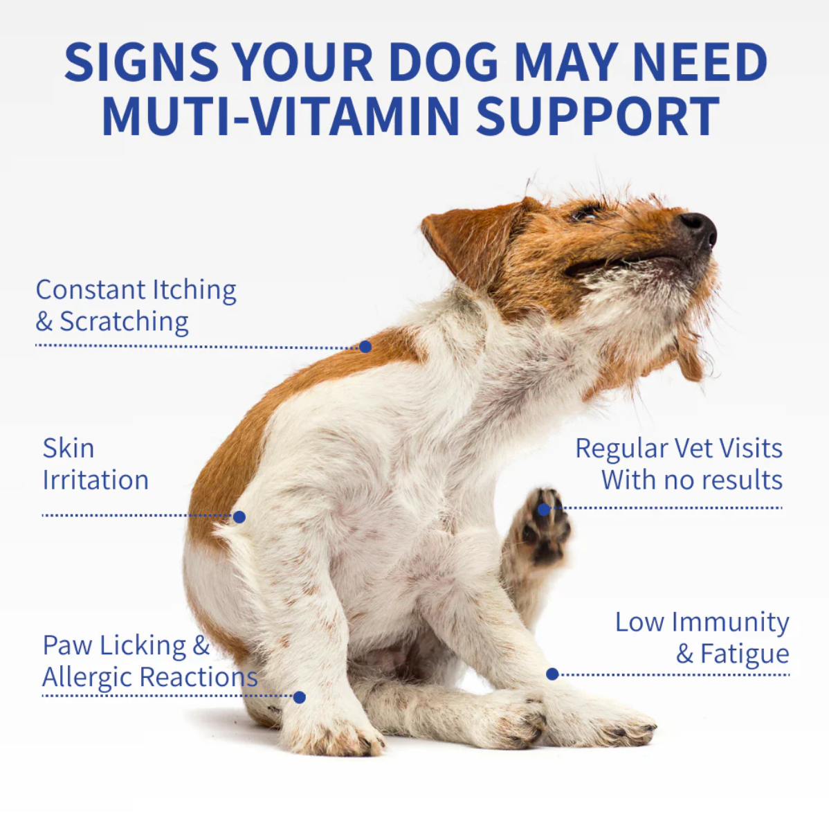 Multivitamin Allergy Chews