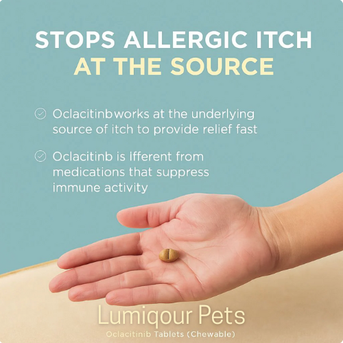 Oclacitinib Chewable Tablet™