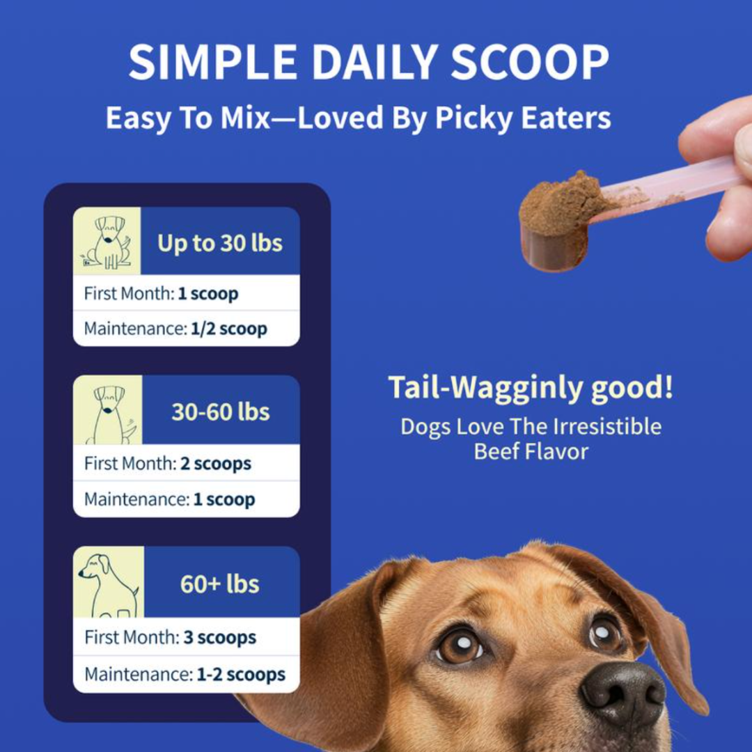 Zoomy Dog Joint Supplement