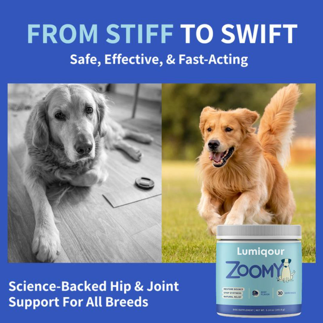 Zoomy Dog Joint Supplement