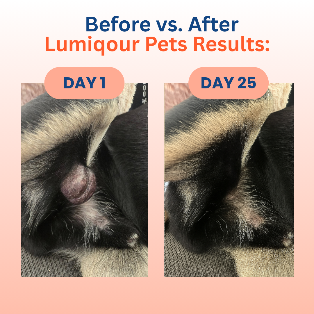 Turkey Tail Probiotic™