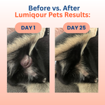 Turkey Tail Probiotic™