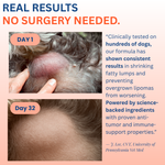 Turkey Tail Probiotic™