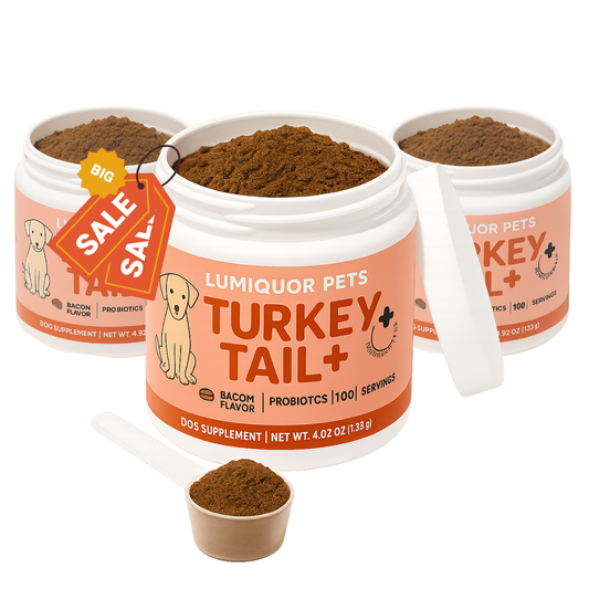 Turkey Tail+ 3 Pack Bundle