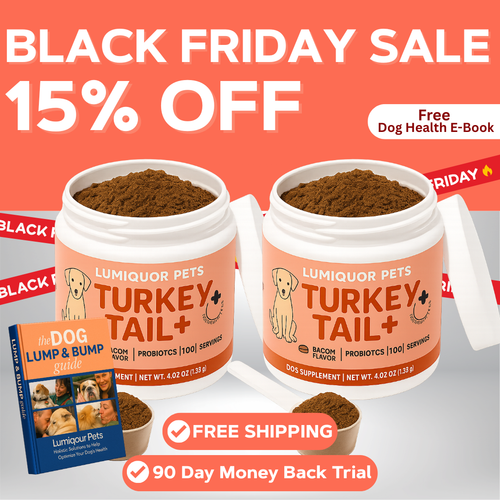 Buy 1 Get 1 Free Lump Bundle