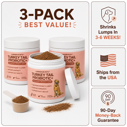 Turkey Tail+ 3 Pack Bundle