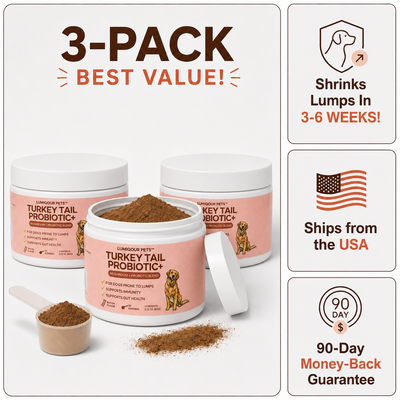 Turkey Tail+ 3 Pack Bundle