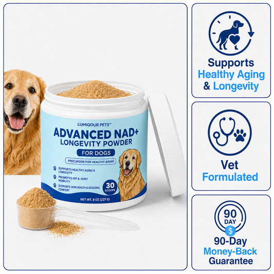 NAD+ Longevity Powder