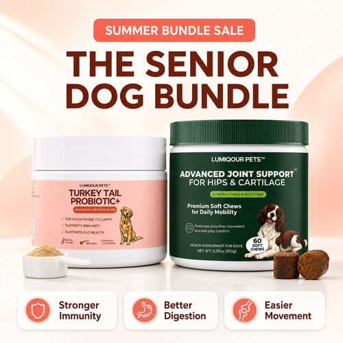 Senior Dog Bundle