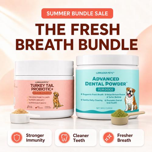 Fresh Breath Bundle
