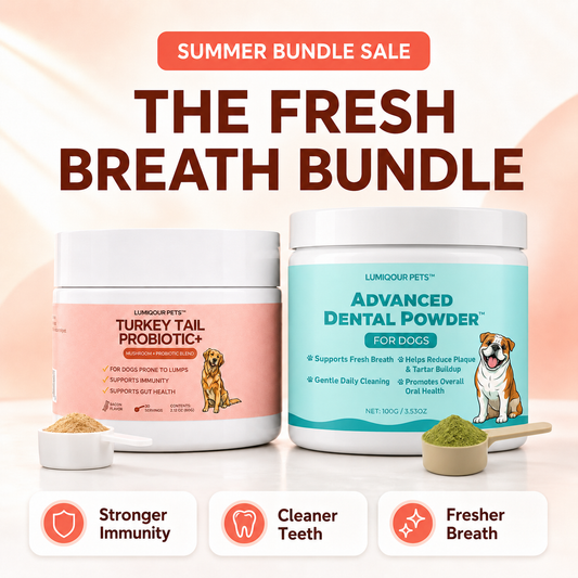 Fresh Breath Bundle