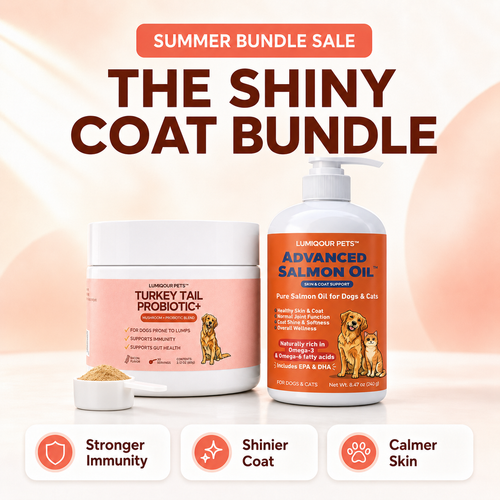 Shiny Coat Bundle