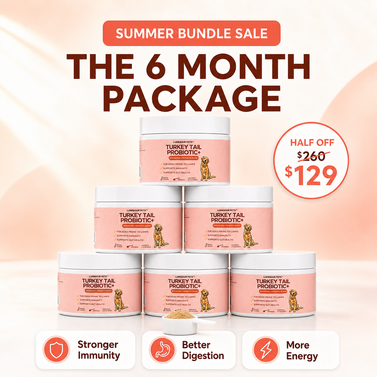 6 Month Package