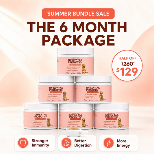6 Month Package