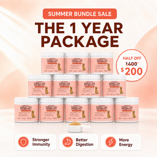 1 Year Package