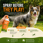 Flea & Tick Natural Soothing Spray