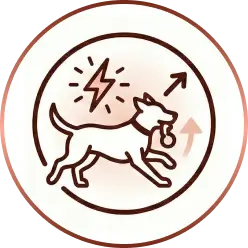 Brings Back The Dog You Remember