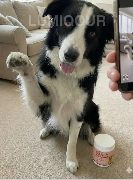 Alt image