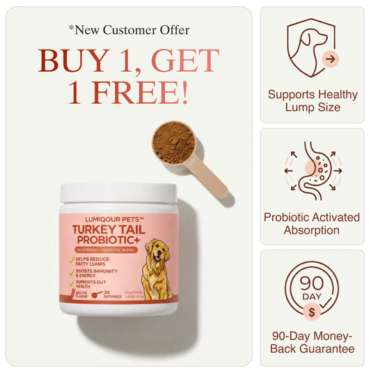 Turkey Tail+ Probiotic™