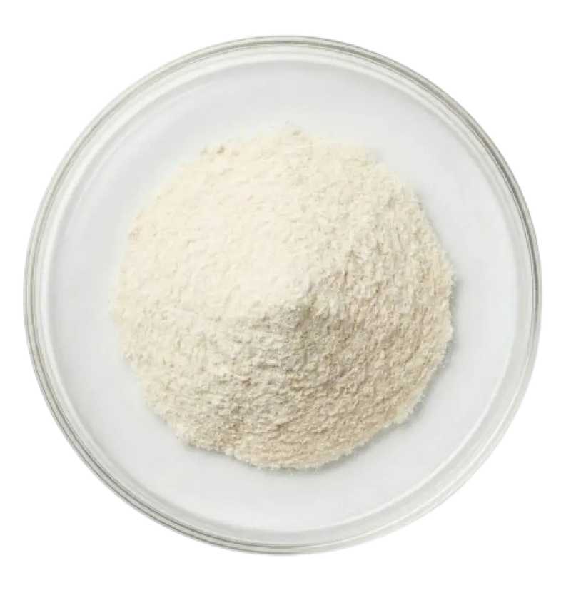 Lactobacillus Acidophilus