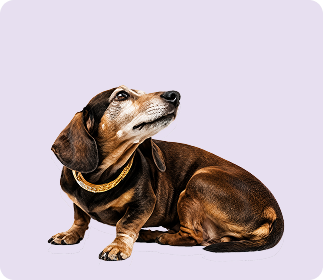 Multivitamin Allergy Chews
