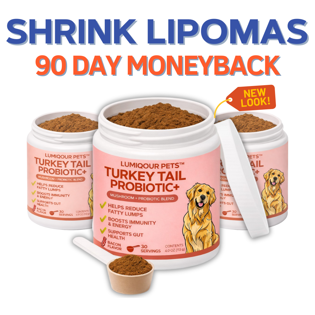 Turkey Tail+ 3 Pack Bundle