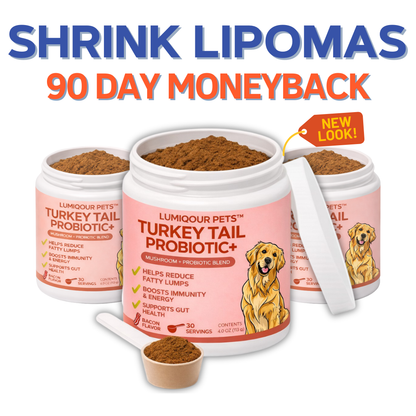 Turkey Tail+ 3 Pack Bundle