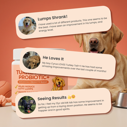 Turkey Tail Probiotic