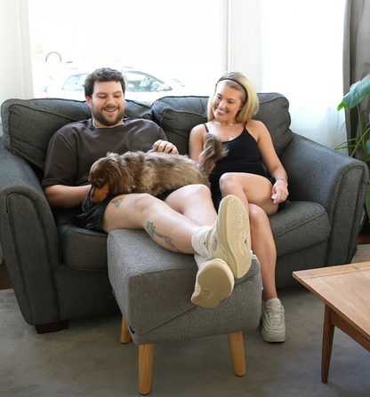Dog Ramp Ottoman™