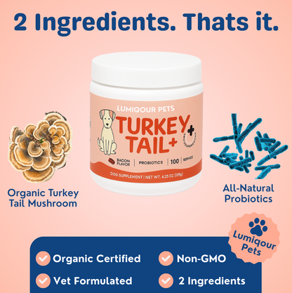 Turkey Tail+ for IVDD™