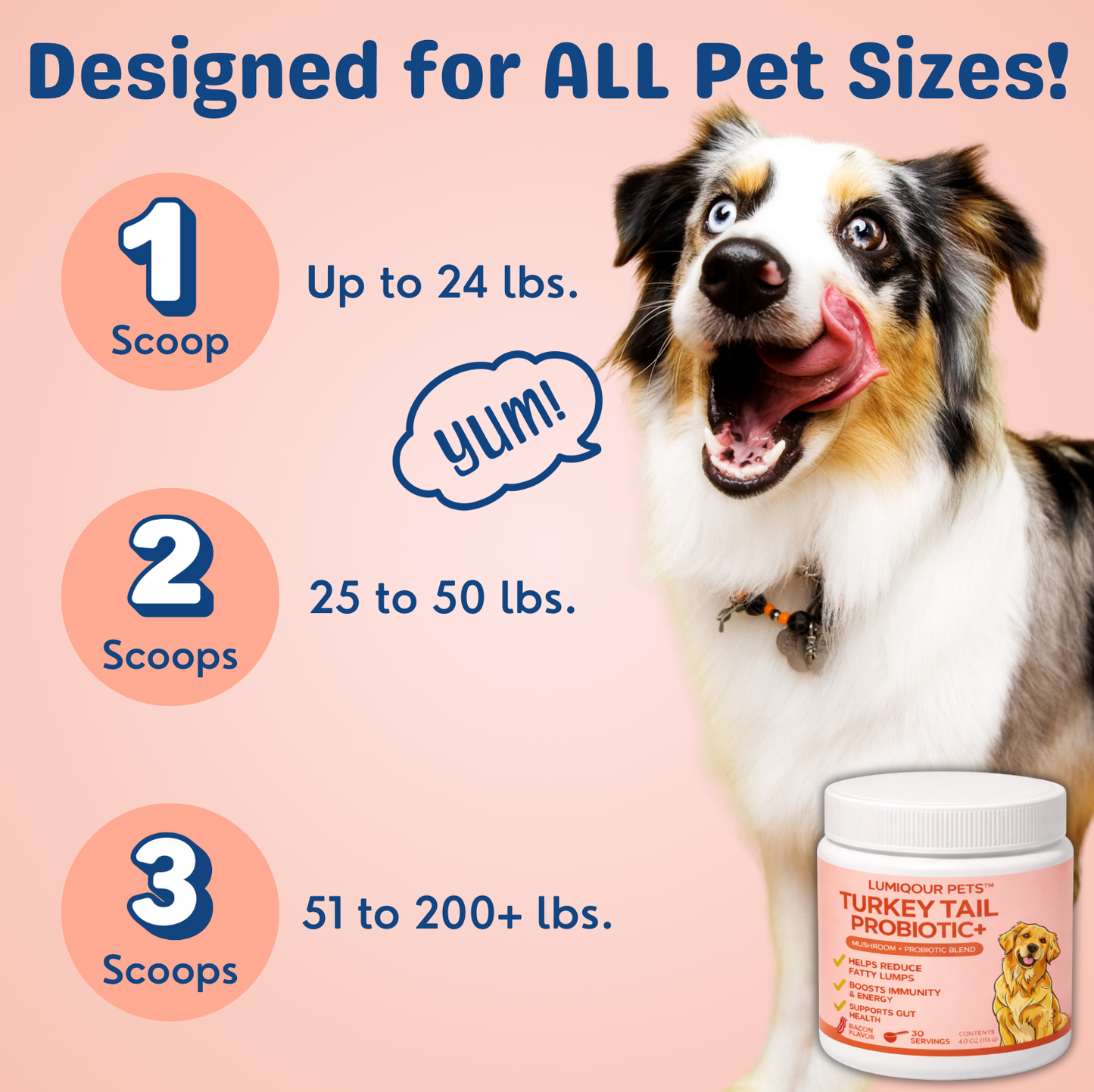 Turkey Tail+ 3 Pack Bundle