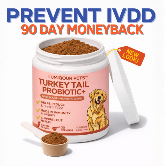 Turkey Tail+ for IVDD™